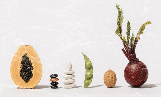 Minimalist lineup of papaya, stacked beans, pea pod, walnut, and beetroot — highlighting the plant-based inspiration behind Elyxar by Apotheka Superfoods.